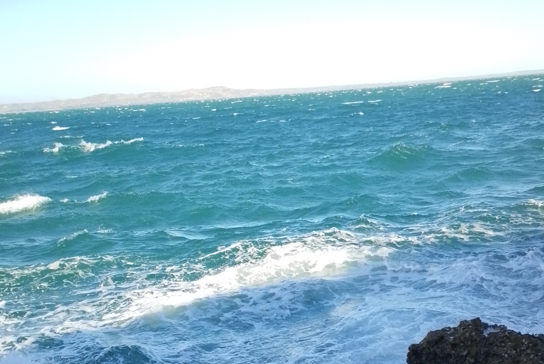 CEO & Founder - Aina Rural Digital Development